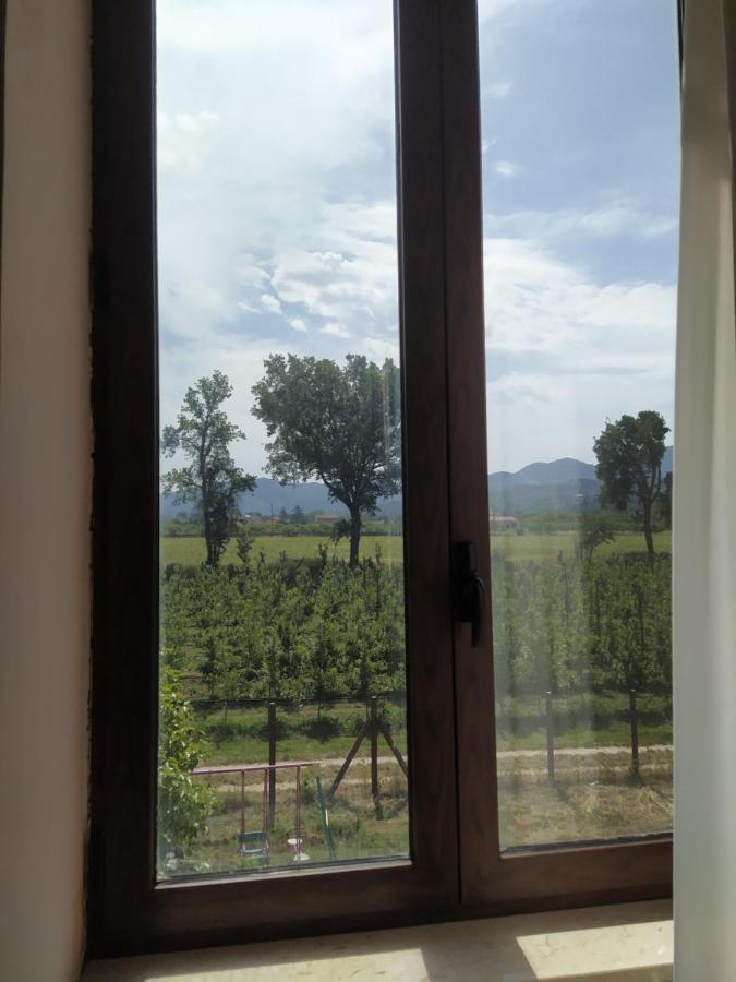 Agriturismo Il Casale Del Cavaliere SantʼAgata deʼ Goti Exterior foto